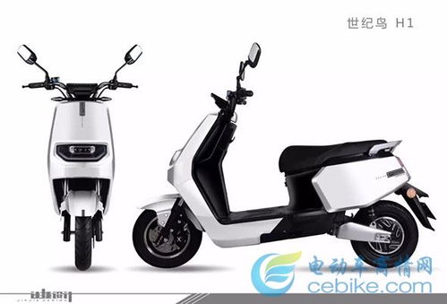 新国标时代 世纪鸟以新电摩为翼，扬帆起航引领电动自行车销售新篇章