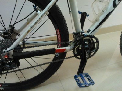 珠海二手交易探秘 揭秘99成新捷安特山地车低价转让背后的故事